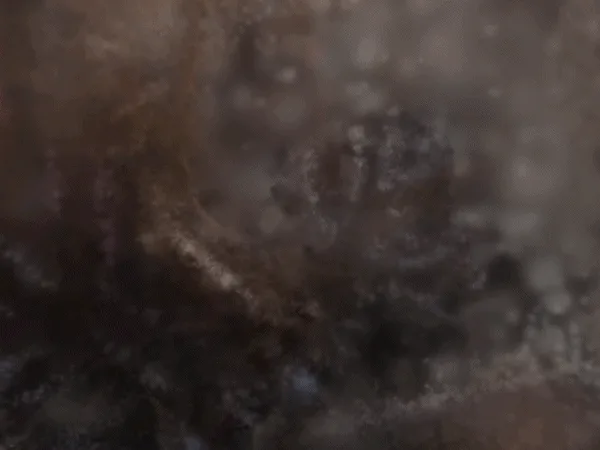 Verarbeitung eines Gaussian-Splatting-Modells