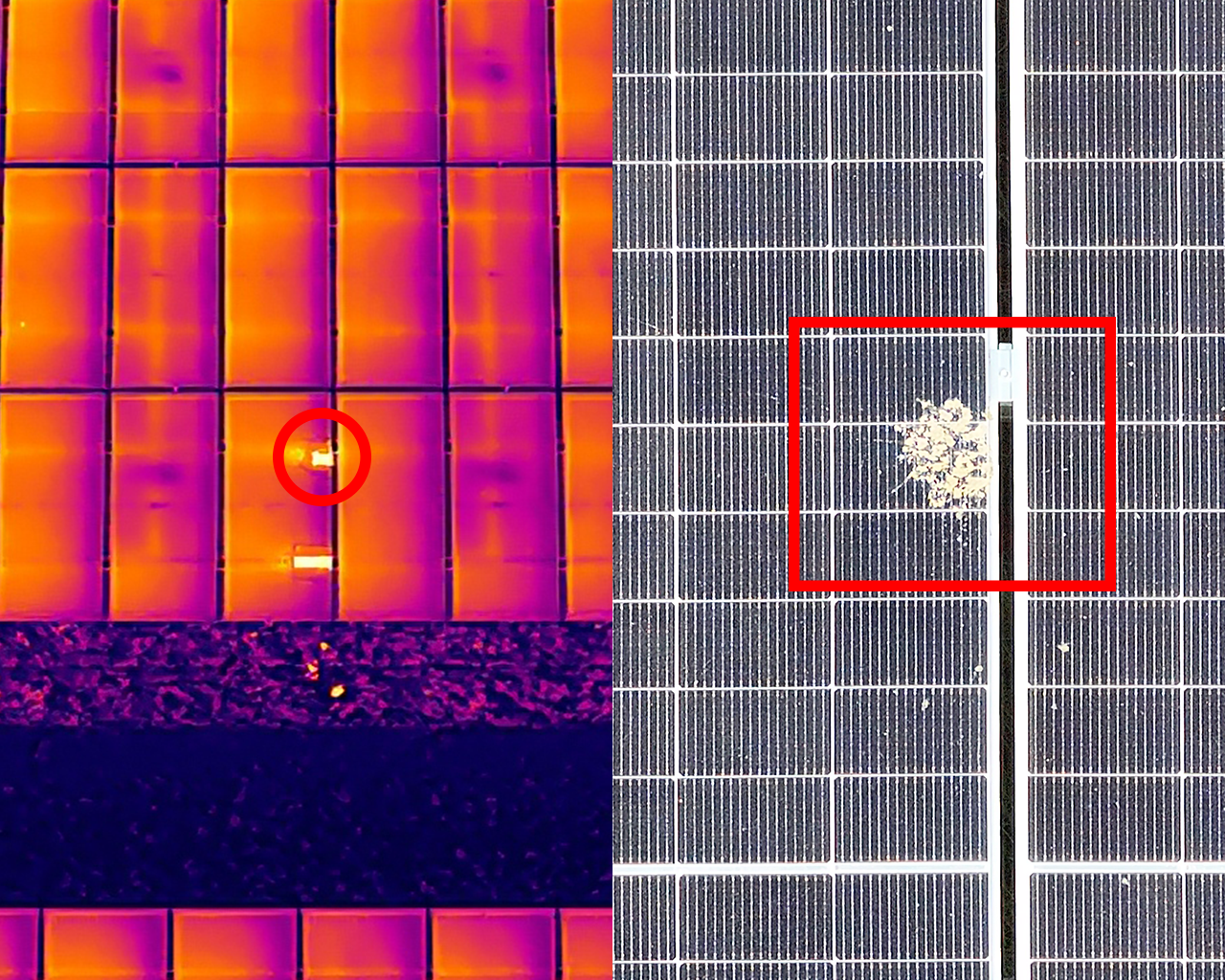 Defektes Solarmodul im Drohnen-Wärmebild: Hotspot durch Vogelkot-Verschmutzung, links als orange Anomalie im Thermalbild markiert, rechts im Echtfarbbild als Verschmutzung sichtbar